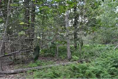 Bryn Mawr Road, Honesdale, PA 18431 - Photo 23