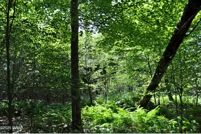 Bryn Mawr Road, Honesdale, PA 18431 - Photo 25