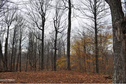 Bryn Mawr Road, Honesdale, PA 18431 - Photo 13