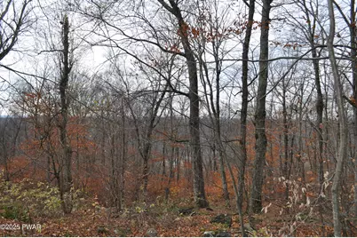 Bryn Mawr Road, Honesdale, PA 18431 - Photo 11