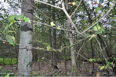 Bryn Mawr Road, Honesdale, PA 18431 - Photo 21