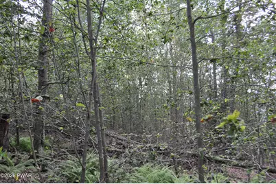 Bryn Mawr Road, Honesdale, PA 18431 - Photo 15