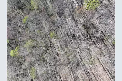 7697 Starrucca Creek Road, Susquehanna, PA 18847 - Photo 15