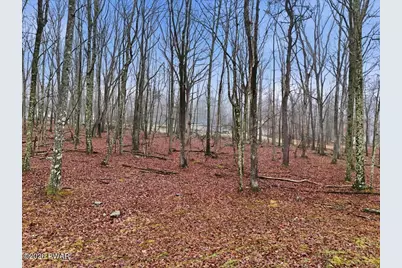 146 Tink Wig Drive, Hawley, PA 18428 - Photo 73