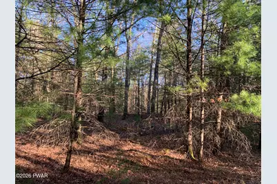 Center Road, Dingmans Ferry, PA 18328 - Photo 13