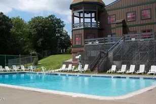 100 Cottonwood Dr, Lords Valley, PA 18428 - Photo 145