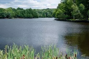 122 Ruffed Grouse Dr, Greentown, PA 18426 - Photo 33