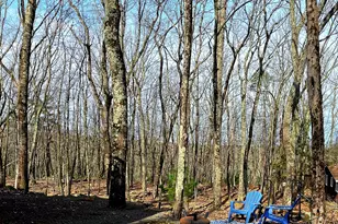 300 Forest Dr, Lords Valley, PA 18428 - Photo 25