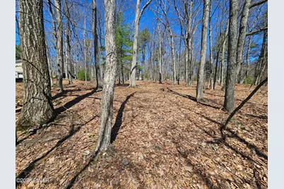 Lot1Blk206 Sec 2 Lake Dr & Claudine Ln, Dingmans Ferry, PA 18328 - Photo 7