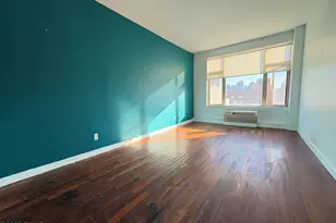 161 E 110th St, New York, NY 10029 - Photo 11