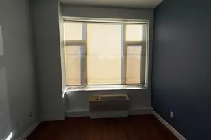 161 E 110th St, New York, NY 10029 - Photo 5