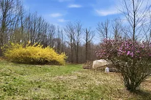 6 Double D Dr, Equinunk, PA 18417 - Photo 43