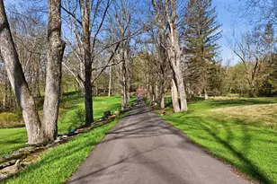 192 Fallsdale Rd, Milanville, PA 18443 - Photo 87