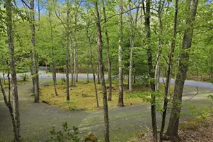 100 Heron Bay, Lords Valley, PA 18428 - Photo 75