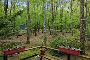 100 Heron Bay, Lords Valley, PA 18428 - Photo 83