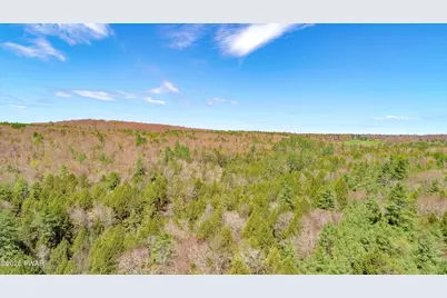 465 Schalck Road, Tusten, NY 12764 - Photo 29