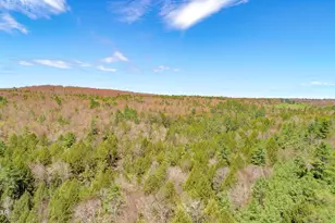 465 Schalck Rd, Tusten, NY 12764 - Photo 29