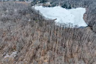 Butternut Ct, Canadensis, PA 18325 - Photo 21