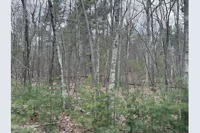 Lot 13 Juniper Terrace, Dingmans Ferry, PA 18328 - Photo 1