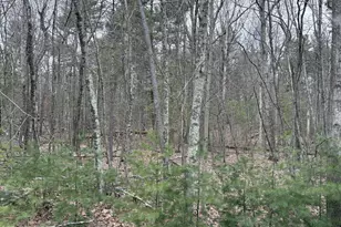 Lot 13 Juniper Terrace, Dingmans Ferry, PA 18328 - Photo 1