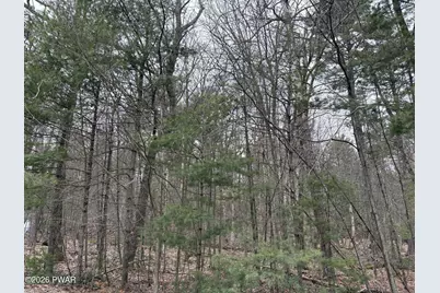 Lot 13 Juniper Terrace, Dingmans Ferry, PA 18328 - Photo 3