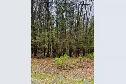 Happy Hollow Drive, Shohola, PA 18458 - Photo 3
