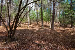 12 Homeyer Rd, Lumberland, NY 12780 - Photo 29