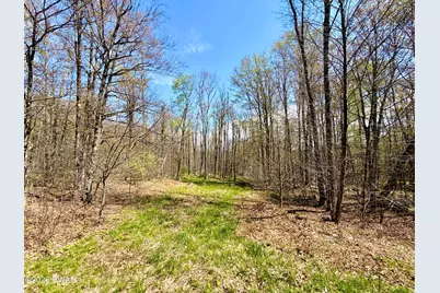 167 Wildwood Trail, Pleasant Mount, PA 18453 - Photo 7