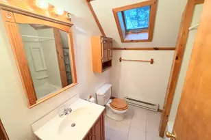 167 Wildwood Trl, Pleasant Mount, PA 18453 - Photo 31