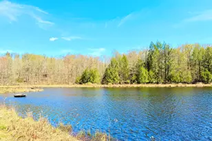 167 Wildwood Trl, Pleasant Mount, PA 18453 - Photo 47
