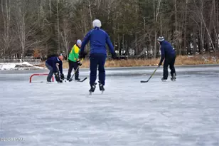 1108 Aquarius Dr, Lake Ariel, PA 18436 - Photo 69