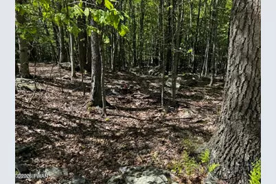 Lot 826 Fawn Rd and Lot 824 Pine Creek Road, Hawley, PA 18428 - Photo 7
