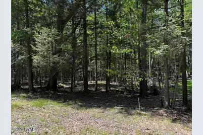 Lot 826 Fawn Rd and Lot 824 Pine Creek Road, Hawley, PA 18428 - Photo 1