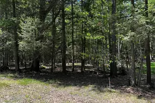 Lot 826 Fawn Rd and Lot 824 Pine Creek Rd, Hawley, PA 18428 - Photo 1