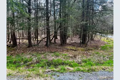 Lot 826 Fawn Rd and Lot 824 Pine Creek Road, Hawley, PA 18428 - Photo 15