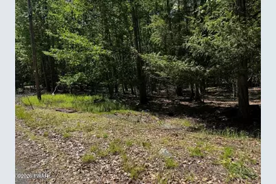 Lot 826 Fawn Rd and Lot 824 Pine Creek Road, Hawley, PA 18428 - Photo 3