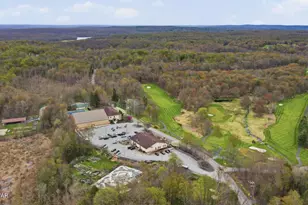 4 Tarot Ct, Lake Ariel, PA 18436 - Photo 63