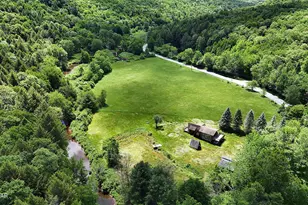 472 Braman Rd, Equinunk, PA 18417 - Photo 35