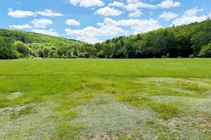 472 Braman Rd, Equinunk, PA 18417 - Photo 37