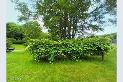 595 Goose Pond Road, Lake Ariel, PA 18436 - Photo 59