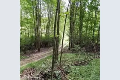 595 Goose Pond Road, Lake Ariel, PA 18436 - Photo 85