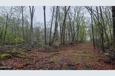 Lot 1 White Birch Drive, Hawley, PA 18428 - Photo 3