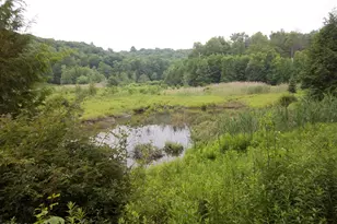 122 Cypress Ln, Greentown, PA 18426 - Photo 29