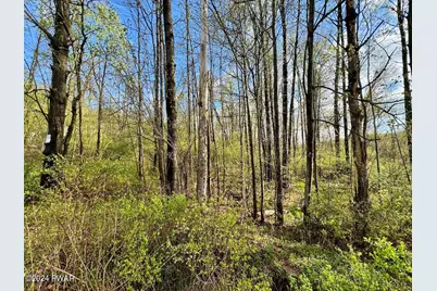 1673 Owego Turnpike, Honesdale, PA 18431 - Photo 15