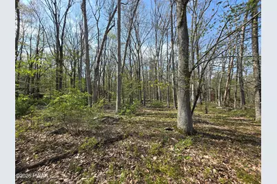 807 Dogwood Court, Lords Valley, PA 18428 - Photo 29