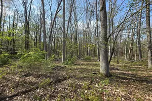 807 Dogwood Ct, Lords Valley, PA 18428 - Photo 29
