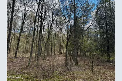 Pleasant Mount Drive, Forest City, PA 18421 - Photo 3