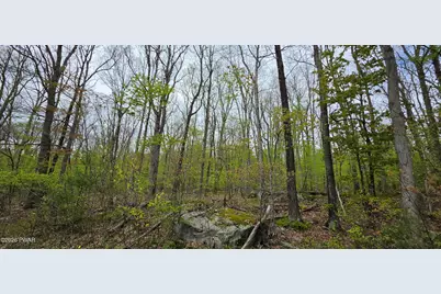 Lot 23.21 State Route 97, Narrowsburg, NY, NY 12764 - Photo 23