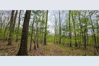 Lot 23.21 State Route 97, Narrowsburg, NY, NY 12764 - Photo 21