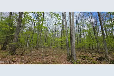 Lot 23.21 State Route 97, Narrowsburg, NY, NY 12764 - Photo 5